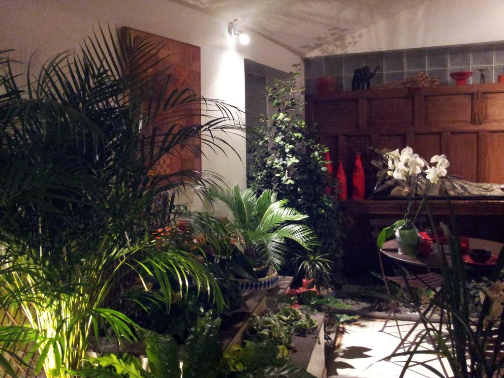 Chambres D'Hotes Le Petit Siam : Le Calme En Centre Ville Clermont-Ferrand Dış mekan fotoğraf